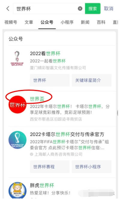 做个世界杯公众号怎么样 微信公众号 SEO SEO推广 第11张