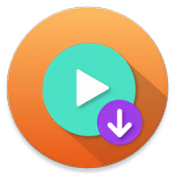 Lj 视频下载器v1.0.88 专业视频下载工具